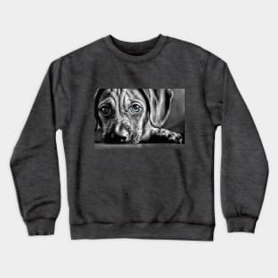 Blue-Eyed Black & White Puppy Crewneck Sweatshirt